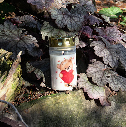 Grabkerzen mit Motiv: weißes Grablicht mit Teddybär- und Herzmotiv und goldfarbenem Deckel auf einem Stein zwischen dunklem Laub